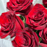 15 бордовых роз