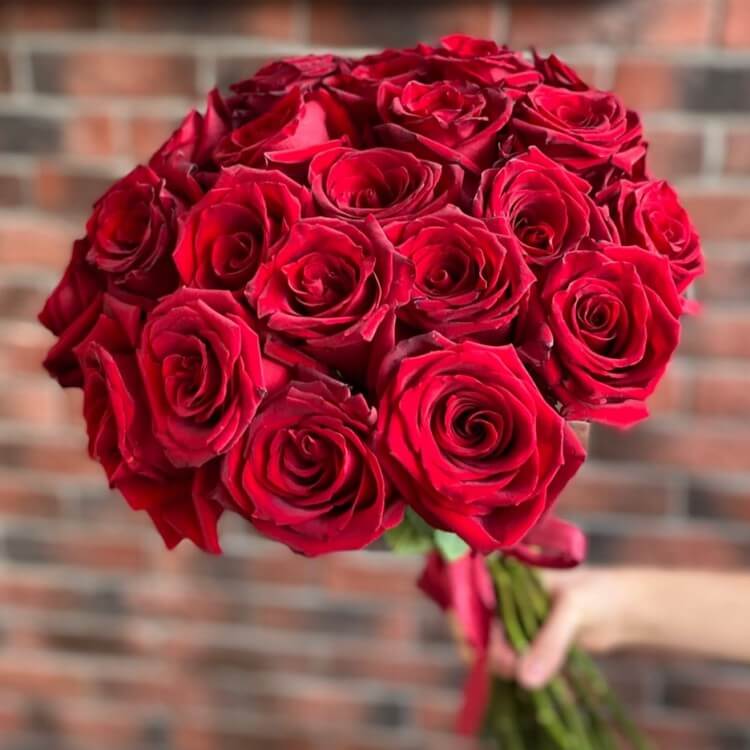 21 красная роза (50 см)
