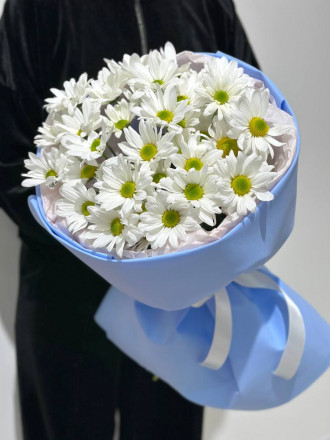 Хризантема кустовая (7шт.)