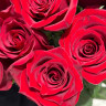 Букет из 11 красных роз (70 см)