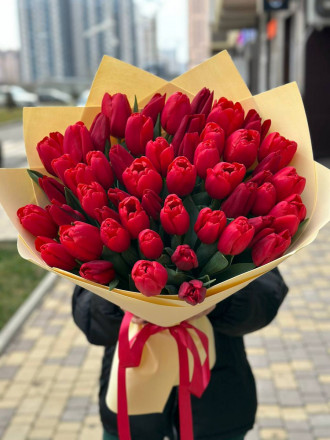 51 красный тюльпан