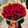 51 красный тюльпан