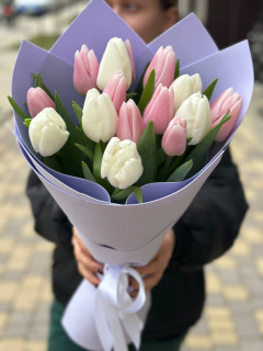 15 нежных тюльпанов
