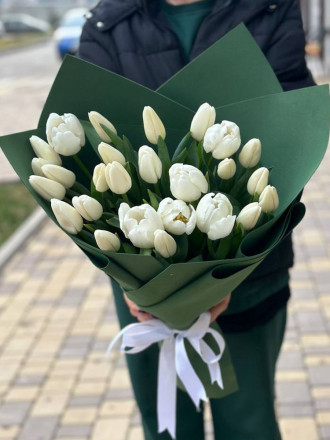 25 белых тюльпанов