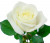 Роза 60 см в ассортименте