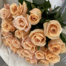 Яркие розы (35 шт)