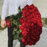 Букет из 101 розы (60см)