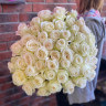Букет из 51 белой розы (60см)